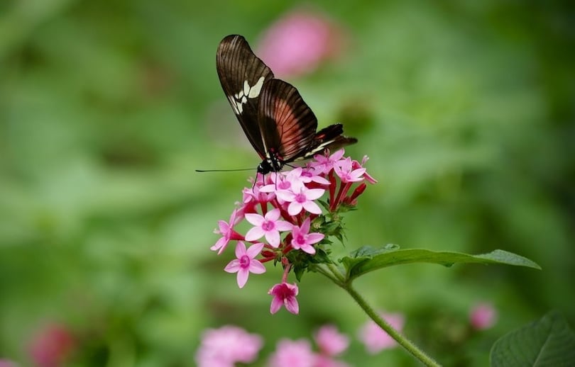 ana-martinuzzi-mlTUicu976E-unsplash