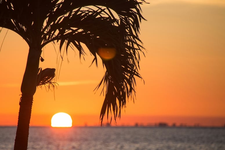 florida-guidebook-com-xHe0i1Kqtog-unsplash (1)