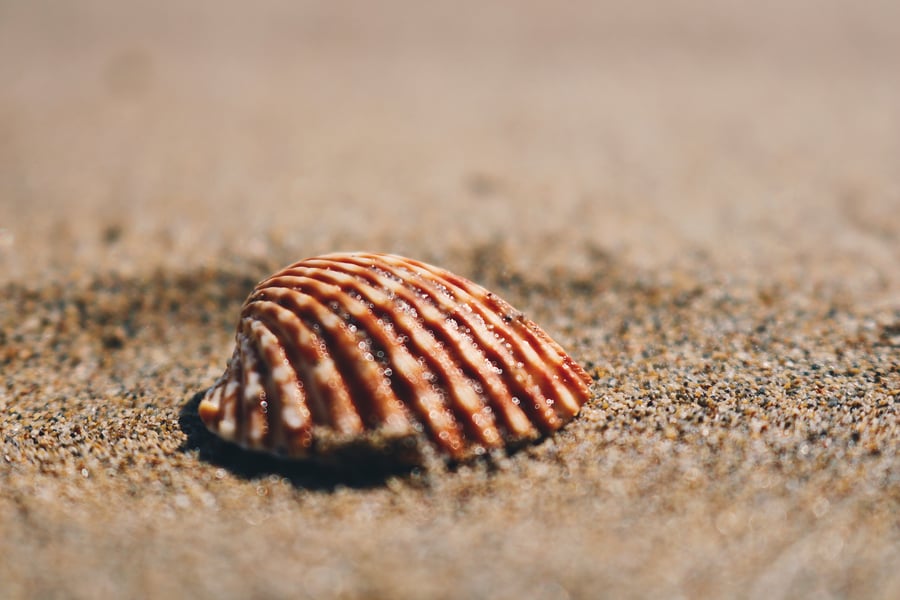 noah-s-rdYtBDSoT5I-unsplash