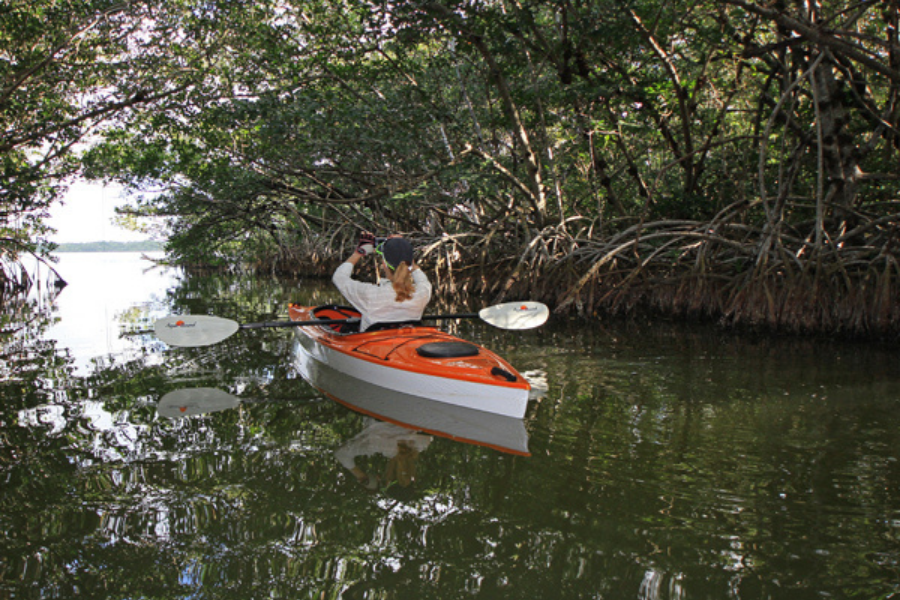 Best Places to Explore Nature at Fort Myers Beach