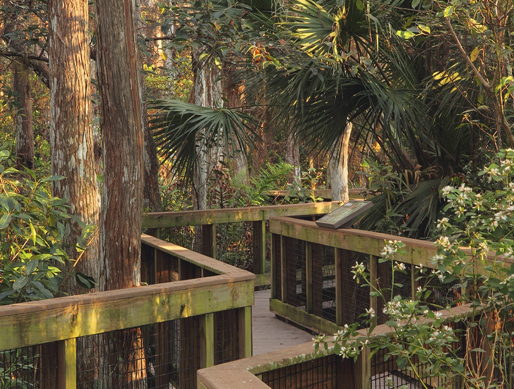 Walking Jogging Path